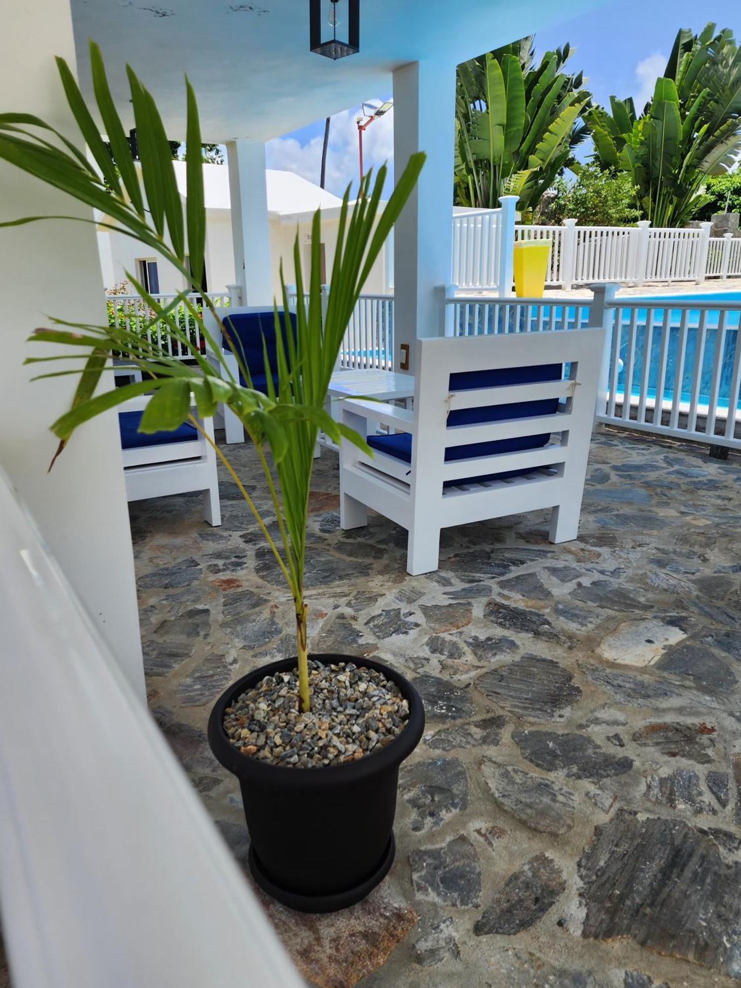 Bella Villa Room With Large Pool And Close To Beach ラス・ガレラス エクステリア 写真